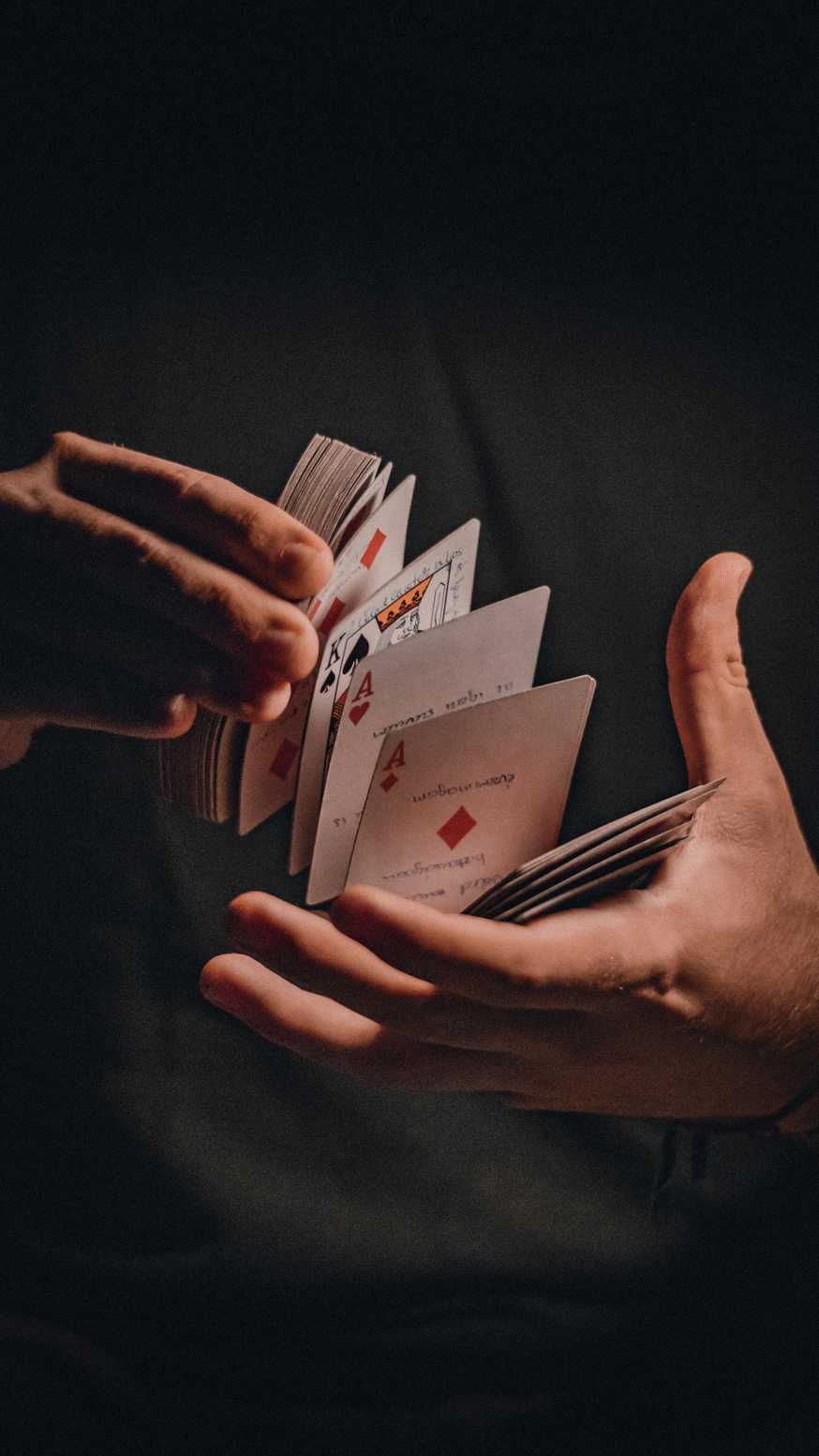 Tradition casino 2026 Tradition casino 2026